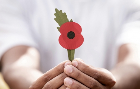 Plastic Free Poppy